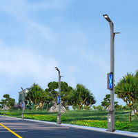 Poteaux d'éclairage LED décoratifs modernes à haute luminosité pour projets extérieurs, personnalisés en usine, pour rues et autoroutes