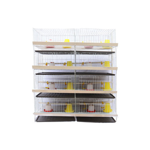 Cages à poulets de chair efficaces à plusieurs niveaux pour petites coopératives, empilables, gain de temps et efficacité quotidienne. - Product Image 2