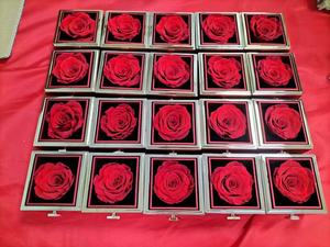 Rose Eterne, Bouquet di <span class=keywords><strong>Fiori</strong></span> Conservati a Lunga Durata con 100 Lingue, Regalo per San Valentino - Product Image 1