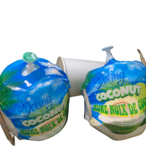 MOQ Noix de coco vertes fraîches de haute qualité en provenance du Vietnam, prix de gros de l'agriculture internationale, prix bas - Product Image 3