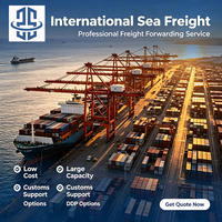 Professioneller Seefracht-Spediteur, China Weltweit DDP Express Tür-zu-Tür Grenzüberschreitende Versandlogistik-Dienstleistungen
