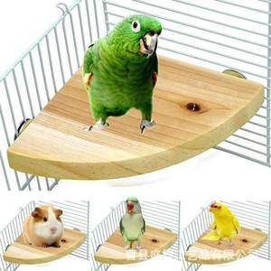 Perchoir semi-circulaire en bois massif pour perroquet moine, meuble pour animaux de compagnie, 10x10, 13x13, 17x17 - Product Image 2