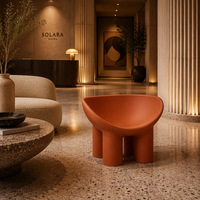 Fauteuil d'appoint moderne pour salon, chambre, hall d'hôtel, siège en plastique PE, design incurvé, couleur terre cuite