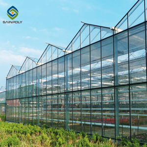 Kosten günstiges Gewächshaus glas landwirtschaft liches Venlo kommerzielles Gewächshaus glas gewächshaus zu verkaufen - Product Image 4
