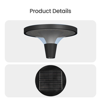 Lampe de jardin LED tout-en-un en aluminium et PVC, télécommandée, longue durée de vie, pour aménagement paysager, parcs et complexes hôteliers, IP65 DC AC, best-seller