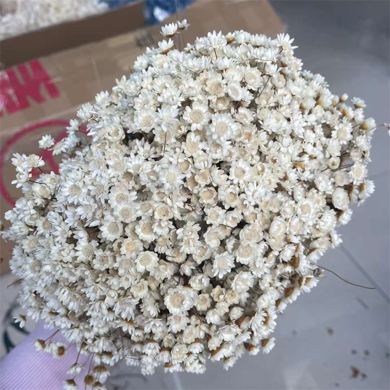 bianco naturale