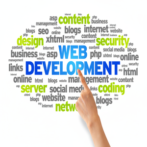 บริการด้านการพัฒนาซอฟต์แวร์การจัดการพนักงานบริการการตลาดออนไลน์ - Product Image 1