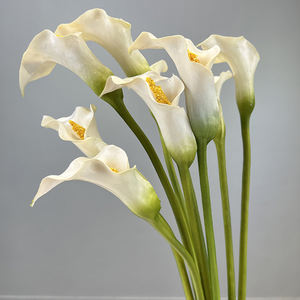 Personnaliser Fleurs PU Real Touch Calla Lily Fleurs Artificielles Blanc Calla Lys pour Mariage Maison Noël <span class=keywords><strong>Fleur</strong></span> Décorative - Product Image 1