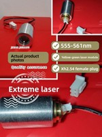 Modul Laser Hijau Lasence 555nm Baru Harga Kompetitif Daya 10-20mW Tegangan Operasi 2V Lampu Panggung Penunjuk Medis
