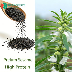Poudre de <span class=keywords><strong>sésame</strong></span> <span class=keywords><strong>noir</strong></span> pur certifiée Halal Herbspirit, faible en gras, sans OGM, soluble instantanément, farine de <span class=keywords><strong>sésame</strong></span> <span class=keywords><strong>noir</strong></span> - Product Image 3