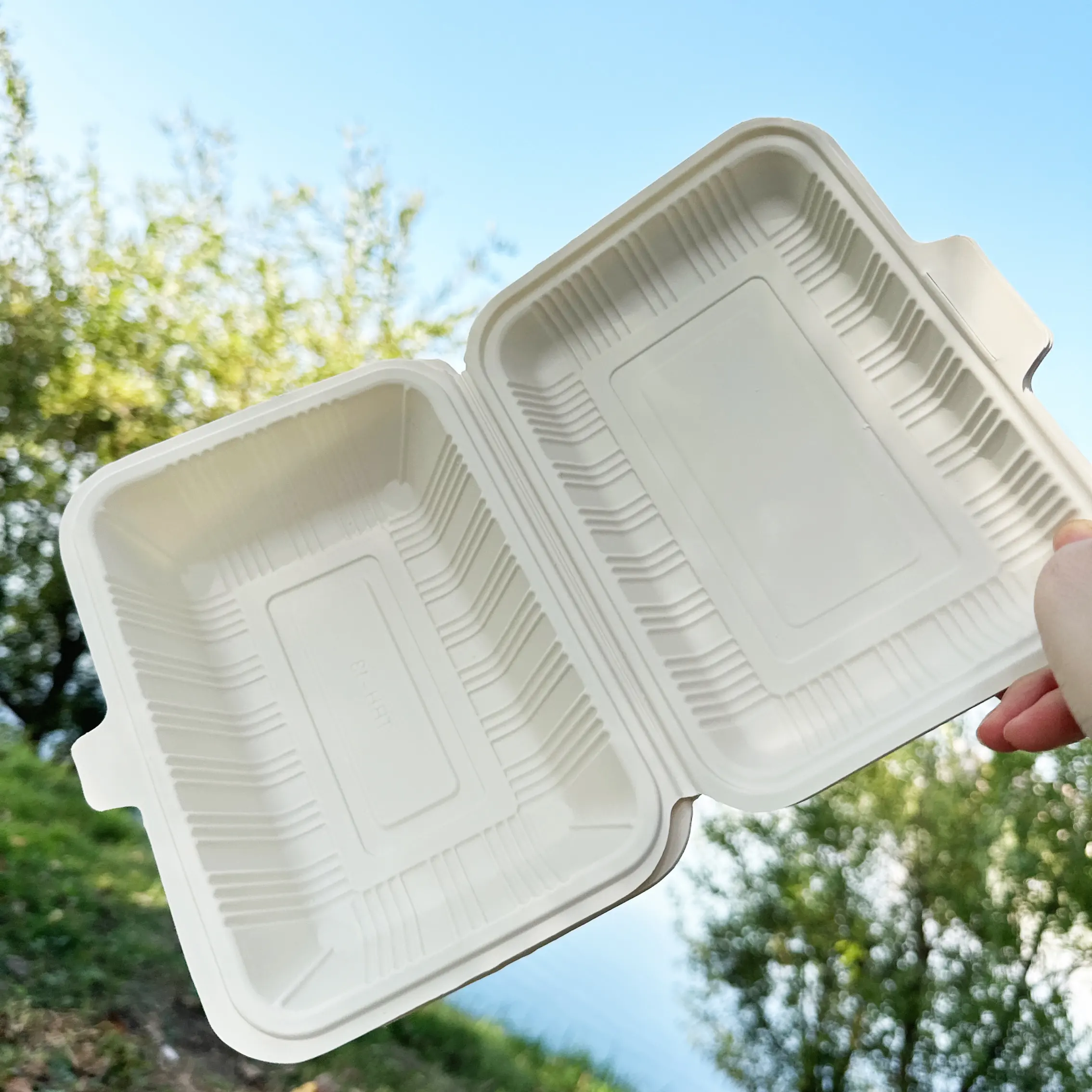 700Ml Wegwerp Luchtdichte Voedselopslag &-Container, Wegwerp Lunchbox Afhaalmaaltijden, Maïszetmeel Wegwerp Lunchbox