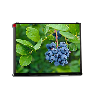 Màn Hình <span class=keywords><strong>Lcd</strong></span> Nhà Sản Xuất <span class=keywords><strong>9.7</strong></span> Inch 1024*768 Độ Sáng Tất Cả Các Giờ Giao Diện 350Nit Màn Hình <span class=keywords><strong>Lcd</strong></span> Tft 30Pin LVDS <span class=keywords><strong>9.7</strong></span> - Product Image 1