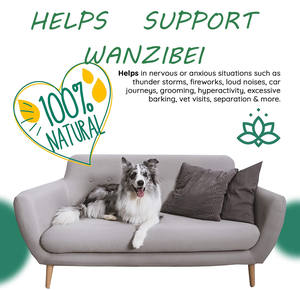 Alivio avanzado de ansiedad y estrés para perros, suplemento nutritivo para mascotas, con servicio OEM - Product Image 4