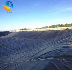 Géomembrane HDPE moderne à durée de vie prolongée, anti-UV, pour revêtement de barrages, piscicultures et projets lacustres - Product Image 5