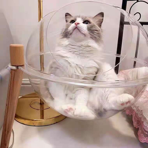 Cúpula acrílica moderna para mascotas para 2025: un refugio elegante y único inspirado en el diseño de naves espaciales - Product Image 4
