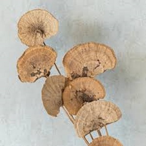 Tươi Cao Cấp Chất Lượng Tự Làm Đám Cưới Nhà Văn Phòng Trang Trí Nội Thất Mới Nhất Khô Hoa Sắp Xếp Miếng Bọt Biển Nấm Trang Trí Cây Hoa - Product Image 1