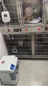 Veterinary <strong>Oxygen</strong> <strong>Concentrator</strong> 5l ,10l <strong>Oxygen</strong> <strong>Concentrator</strong> - Product Image 3