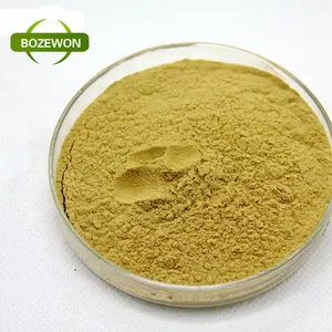 Organic Coriolus versicolor extract /Coriolus versicolor P.E/Coriolus versicolor powder