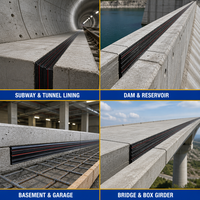 Joint d'étanchéité en caoutchouc intégré avec trou central pour l'étanchéité des joints en béton dans la construction de sous-sols et de piscines
