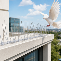Piques anti-oiseaux en acier inoxydable E40 avec base en PC résistante aux UV, pour le contrôle des pigeons et des oiseaux sur les rebords de toit