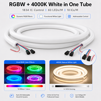 Tube néon LED flexible en silicone RGBW rond de 40 mm, 24 V, adressable, 1834IC, 10 m/rouleau, pour façade, scène, signalétique