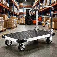 Carretilla de Plataforma Plegable de Acero Personalizada con Recubrimiento en Polvo, Resistente, con Frenos y Capacidad de Carga de 500-1500 kg