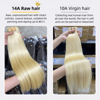 14A Haute Qualité # Lots de Cheveux Naturels Vietnamiens Bruts Non Traités, Lisses Comme des Baguettes, Blond Platine 613, 100% Cheveux Humains Vierges, Faits à la Machine