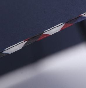 Paraguas Plegable de 10 Varillas con Borde Simple, Protección Solar y Contra la Lluvia, para Hombre y Mujer - Product Image 6