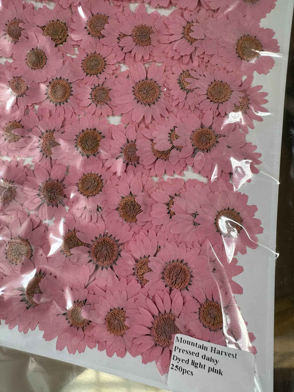 Tinto rosa chiaro 12 pezzi/borsa