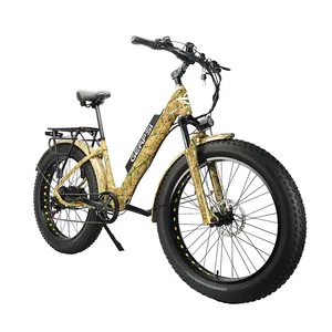 Blj 전기 자전거 남성과 여성 350w 충전기 리튬 이온 Ebike 60v 20ah 전기 자전거 배터리