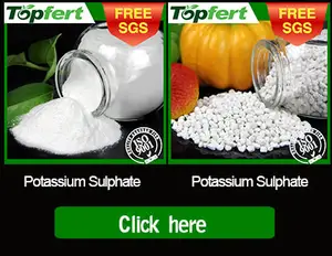 Poassium Sulphate /SOP /Potassium Fertilizer / SULFATO DE POTASIO