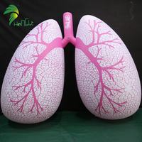 Modèle gonflable géant humain de poumon de ballon gonflable en plastique de PVC d'affichage de promotion d'événement