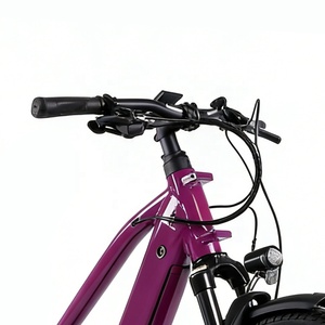 Potente Bicicleta Eléctrica de Carga Industrial DIY OEM con Cuadro de Aluminio, 9 Velocidades 11-38T, para Adultos - Product Image 3