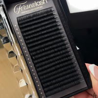 Extensions de cils Private Label D Curl, plateaux de cils en cachemire noir et duveteux, fournitures d'extensions de cils en soie mate noire de qualité supérieure Lb Curl