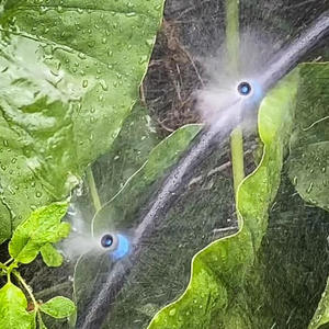 DaringFish Factory Direct Micro-Aiguille d'irrigation réglable pour jardin ou irrigation agricole <span class=keywords><strong>sans</strong></span> compensation de <span class=keywords><strong>pression</strong></span> - Product Image 5