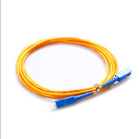 FTTH Fibre Optique SC FC LC ST APC UPC Pigtails 0.9mm 2mm 3mm Singlemode Sm Simplex Fibre Optique Patch Cord Jumper Optique Pigtail