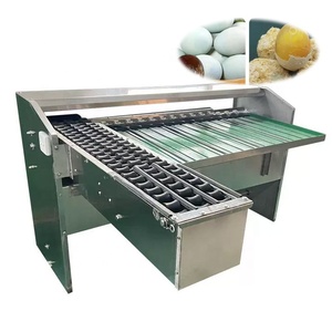 Máquina clasificadora de huevos de acero inoxidable Sistema de máquina Equipo clasificador de huevos Máquina clasificadora de huevos - Product Image 1