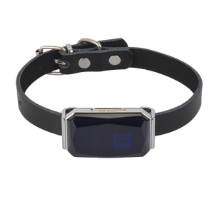 G12 impermeable <span class=keywords><strong>GPS</strong></span> localizador de mascotas <span class=keywords><strong>Collar</strong></span> inteligente universal para gatos y perros con control remoto Beidou y rastreador de posicionamiento AGPS - Product Image 2