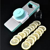 Mandoline en acier inoxydable avec réglages réglables, panier d'égouttage amovible, pour couper les légumes, les pommes de terre, les frites, lavage à la main
