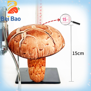 Fournisseur de jouets en peluche à faible MOQ, jouet en forme de champignon pour machine à griffes distributrice de jouets pour enfants - Product Image 2