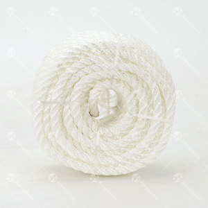 <span class=keywords><strong>Corde</strong></span> en nylon torsadée à longue durée de vie avec une structure stable pour les opérations de pêche quotidiennes - Product Image 4