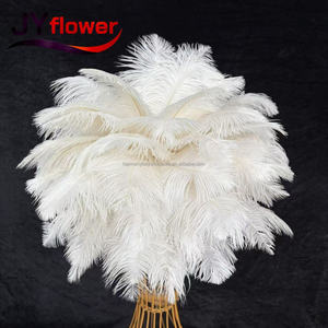JY Venta al por Mayor <span class=keywords><strong>de</strong></span> Plumas <span class=keywords><strong>de</strong></span> Avestruz Realistas Hechas a Mano <span class=keywords><strong>de</strong></span> 60 cm <span class=keywords><strong>de</strong></span> Largo, Decoración <span class=keywords><strong>de</strong></span> Pared, Tela Natural <span class=keywords><strong>de</strong></span> Lujo, Plumas a Granel Baratas para Bodas, Día <span class=keywords><strong>de</strong></span> la Madre - Product Image 3