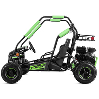 Tao Motor 2025 Nouveau Buggy des Dunes Tout-Terrain, Démarrage Électrique, Transmission Automatique par Chaîne, Châssis en Acier, Karts 200cc pour Adultes