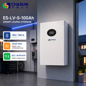 แบตเตอรี่ CHASUN 5.12kWh 51.2V LiFePO4 แบบแยกส่วนติดผนัง น้ำหนัก 49 กก. รับประกัน 5 ปี มาตรฐาน CE UN38.3 CAN สำหรับระบบกักเก็บพลังงานแสงอาทิตย์สำหรับที่อยู่อาศัย - Product Image 4