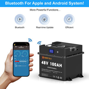 전기 선외기 모터 보트 배터리 구동 12V 48V 마린 리튬 <span class=keywords><strong>Lifepo4</strong></span> 배터리 팩 - Product Image 3