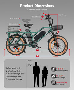 Bicicleta eléctrica de carga con logotipo personalizado, potente herramienta eléctrica, 48v 15.6Ah+20Ah, baterías dobles, con cesta. - Product Image 6
