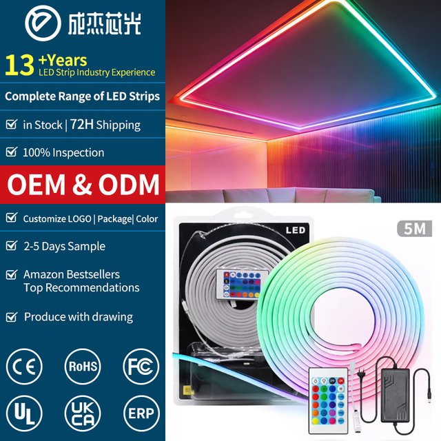 12V RGB Neon Light Strip Kit - Smart Remote Control Ambient Light, Indoor/Outdoor Decoration & Signage Lighting