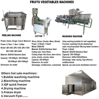 Stérilisateur à ultrasons, machine à laver les fruits et légumes à l'ozone et essoreuse
