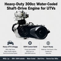 Moteur de moto refroidi par eau de 300 cm³, assemblage complet avec marche arrière pour les fabricants et assemblateurs de véhicules utilitaires