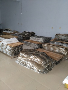 Piel de Conejo Genuina Directo de Fábrica, Patrón Crudo, Esponjosa, de Alta Densidad, Suave, Tamaño Personalizable, Decoración de Dormitorio, Prenda de Vestir - Product Image 6